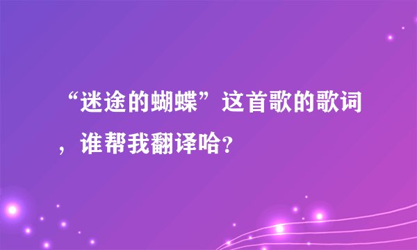 “迷途的蝴蝶”这首歌的歌词，谁帮我翻译哈？