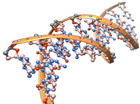 有机和无机的区别是什么？