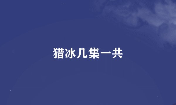 猎冰几集一共