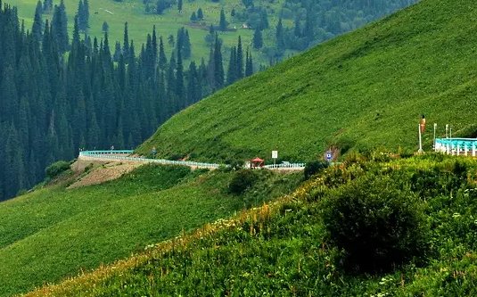 青山依旧笑春风是谁的诗？