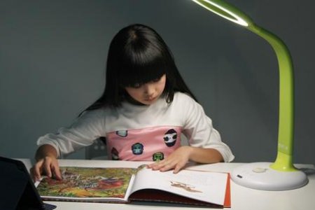 用力造句一年级