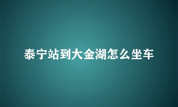 泰宁站到大金湖怎么坐车
