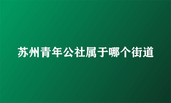 苏州青年公社属于哪个街道