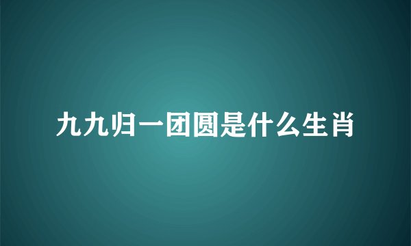 九九归一团圆是什么生肖