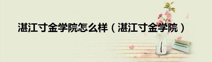 湛江寸金学院怎么样湛江寸金学院