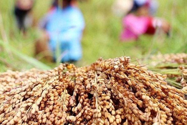 付出也不一定有回报，那我们还要不要无私付出？