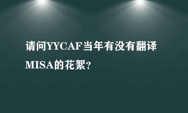 请问YYCAF当年有没有翻译MISA的花絮？