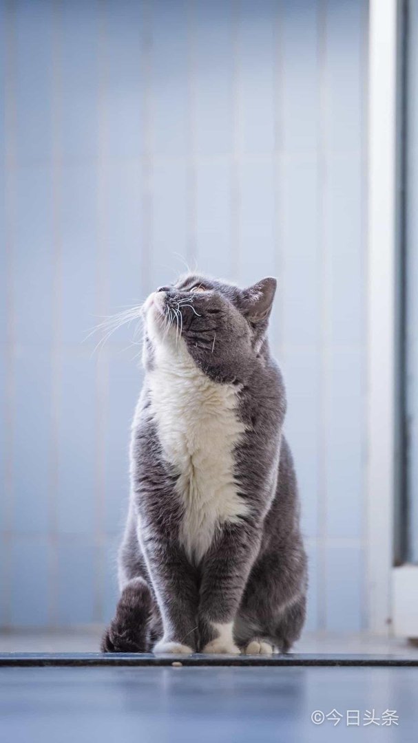 女人发生过关系后还会想吗