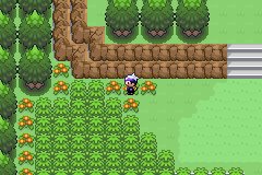 口袋妖怪漆黑的魅影花之海在哪里?