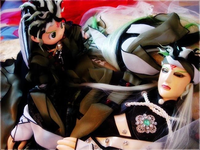 家养霸王攻的介绍