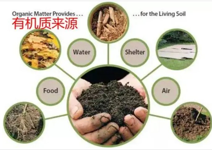 有机和无机的区别是什么？