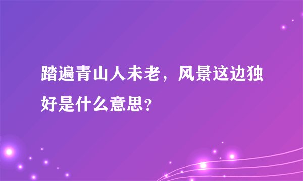 踏遍青山人未老，风景这边独好是什么意思？