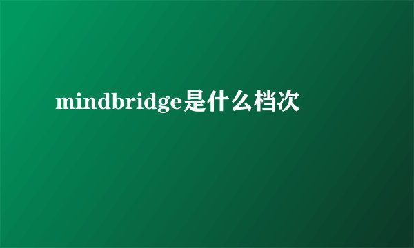 mindbridge是什么档次