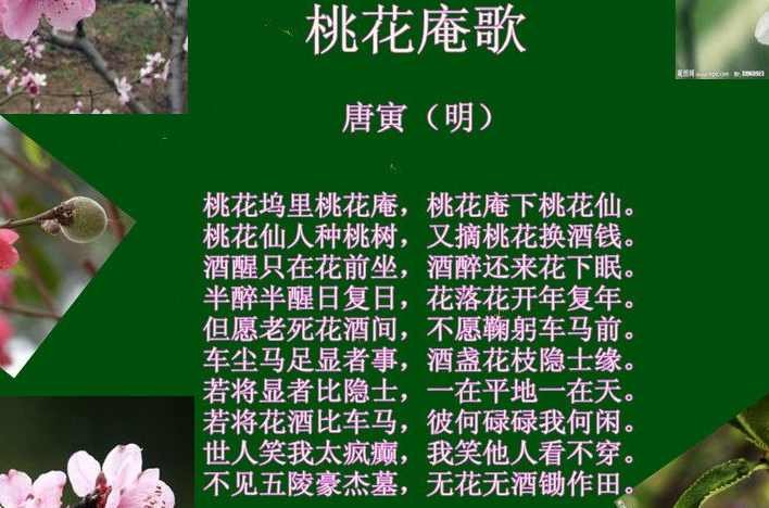 “桃花坞里桃花庵，桃花庵里桃花仙；桃花仙人种桃树，又摘桃花换酒钱。”谁的诗？