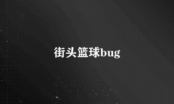 街头篮球bug
