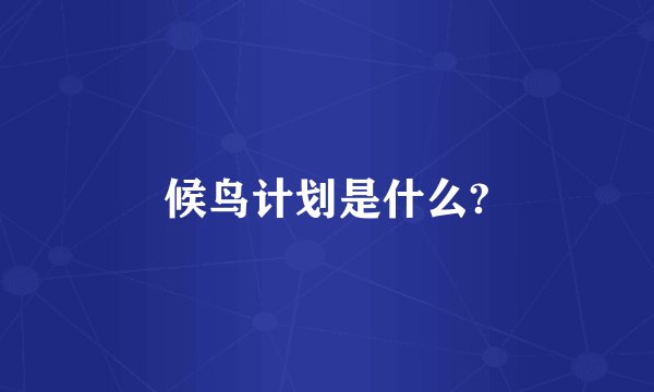 候鸟计划是什么?