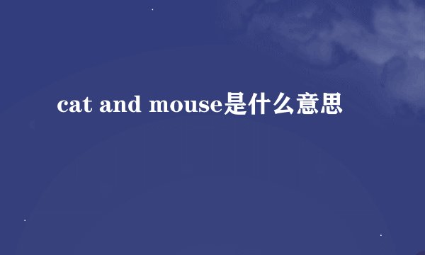 cat and mouse是什么意思