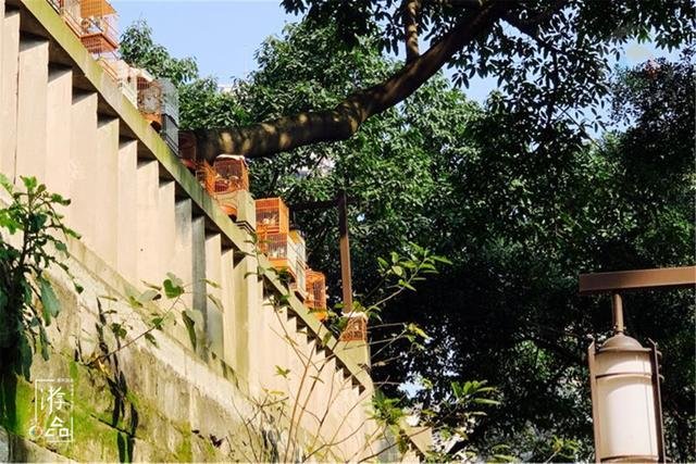 重庆的空气质量好吗？