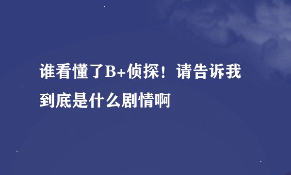 谁看懂了B+侦探！请告诉我到底是什么剧情啊