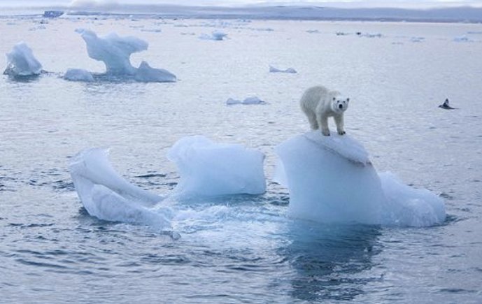 罗列出气候变化的利弊