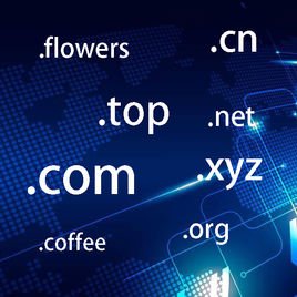 什么是域名地址?