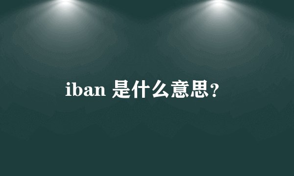 iban 是什么意思？