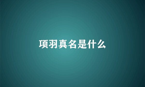 项羽真名是什么