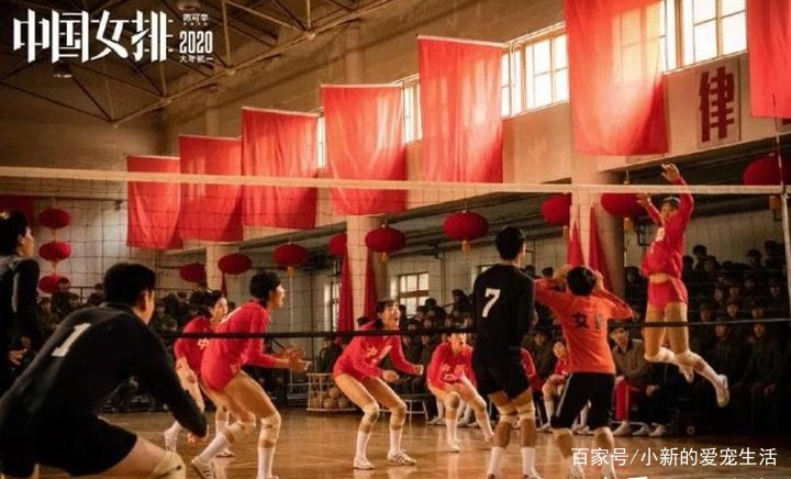 中国女排，在雅典奥运会女排比赛上夺冠了吗？