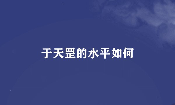 于天罡的水平如何