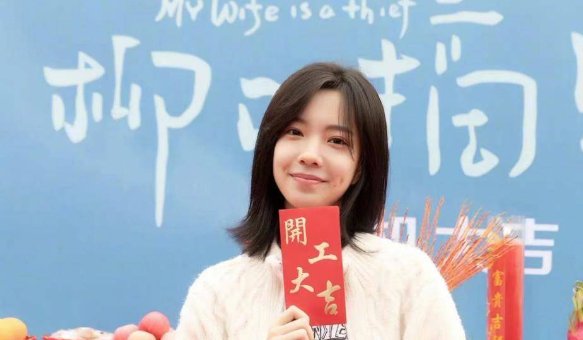 庄达菲演过的电视剧