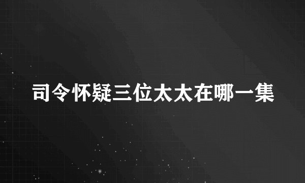 司令怀疑三位太太在哪一集