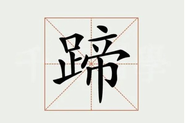 蹄的拼音,音序,结构,部首,组词语