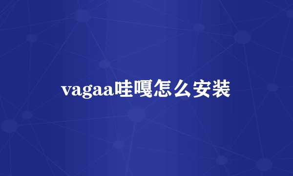 vagaa哇嘎怎么安装
