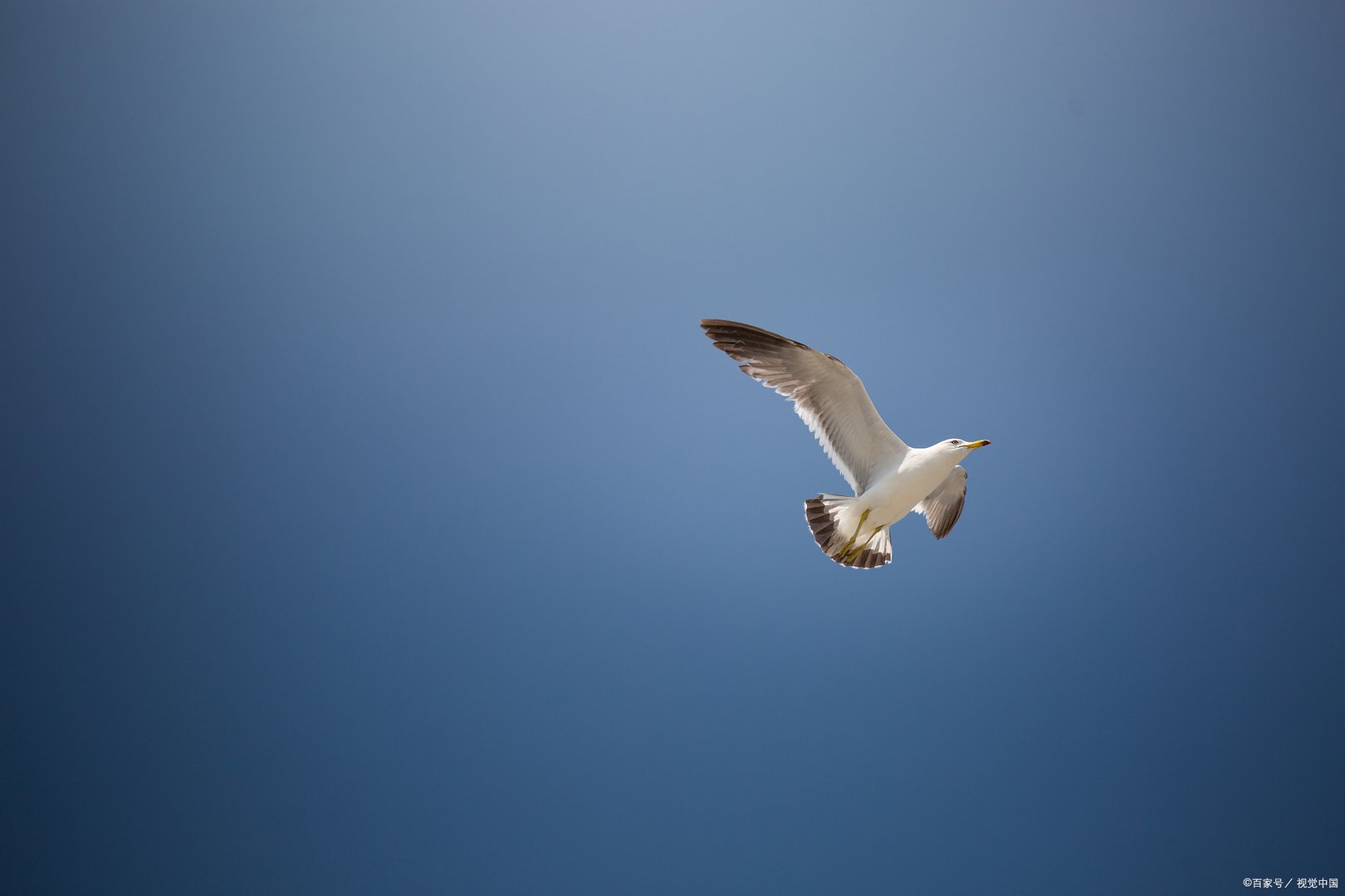 电信投诉打10000管用还是打12315管用