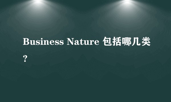 Business Nature 包括哪几类?