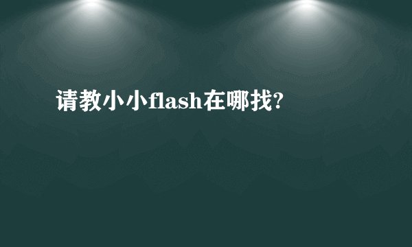 请教小小flash在哪找?