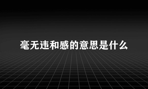毫无违和感的意思是什么