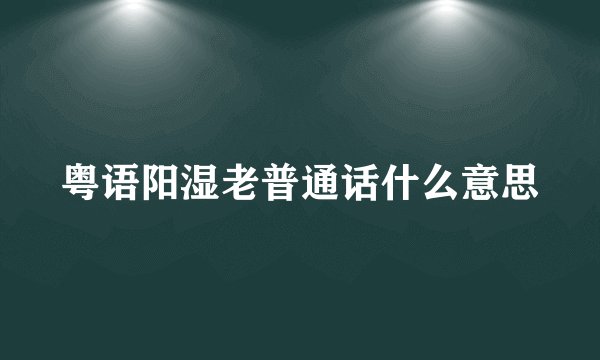 粤语阳湿老普通话什么意思
