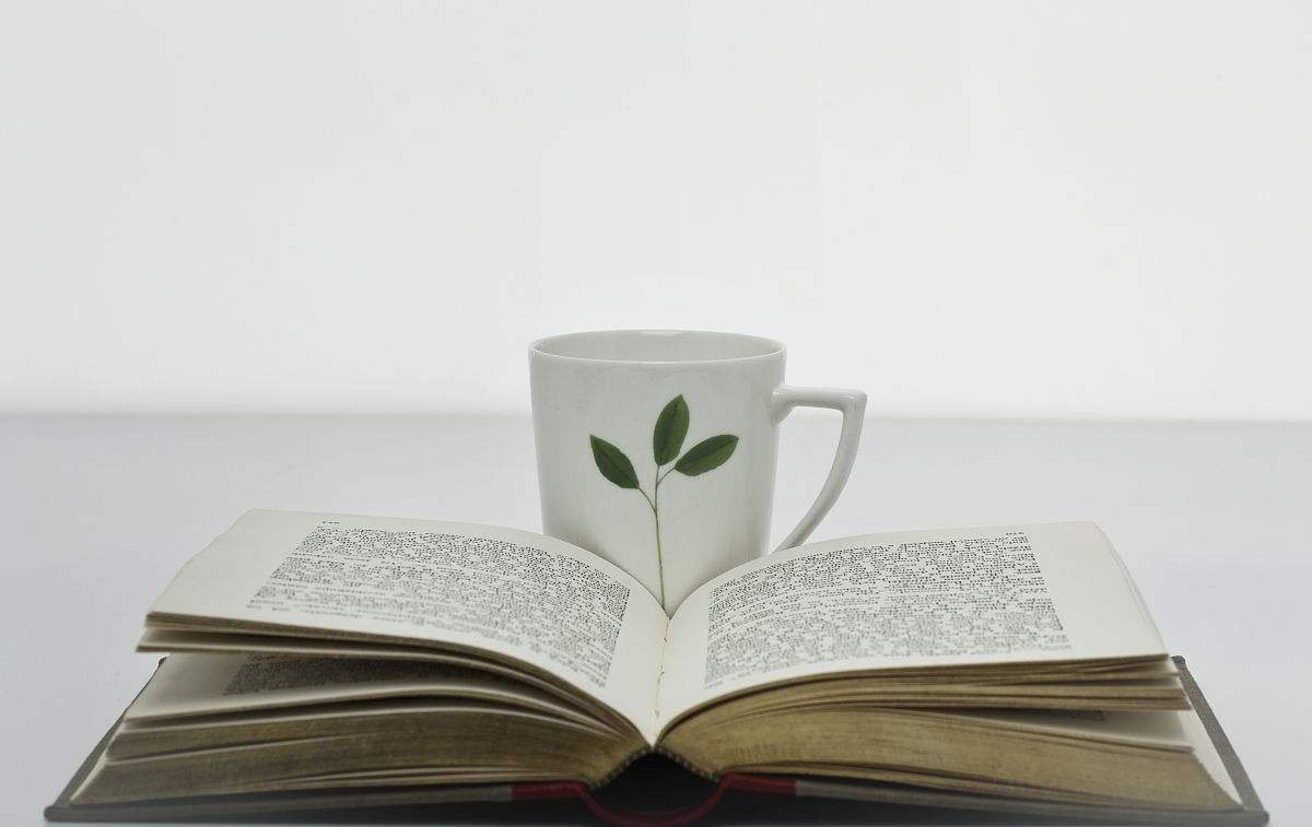 日语“官能”是什么意思？