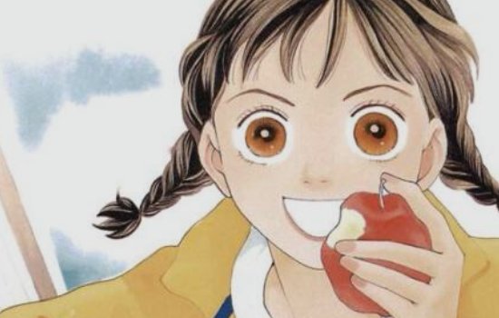 花样男子的原版的漫画有结局吗？跟最终章一样吗？