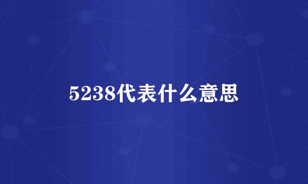 5238代表什么意思