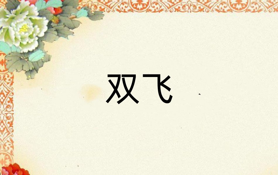 双飞什么意思