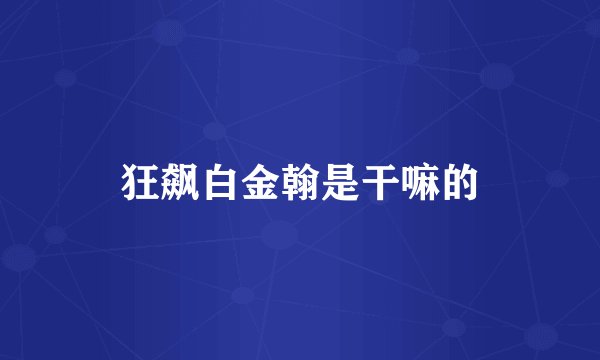 狂飙白金翰是干嘛的