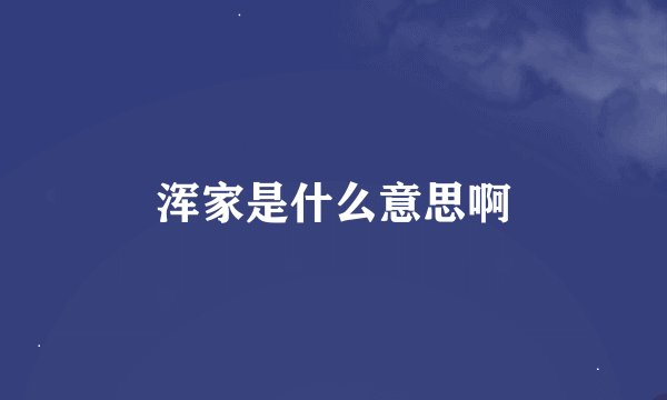 浑家是什么意思啊