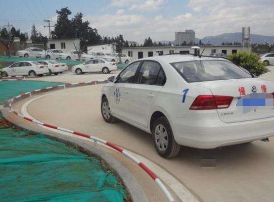 Subjects是什么意思