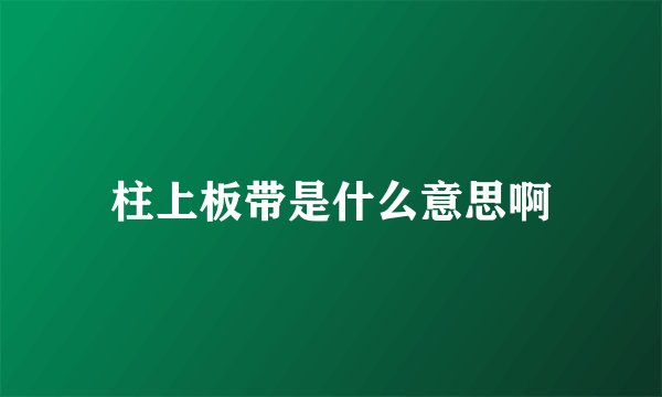 柱上板带是什么意思啊