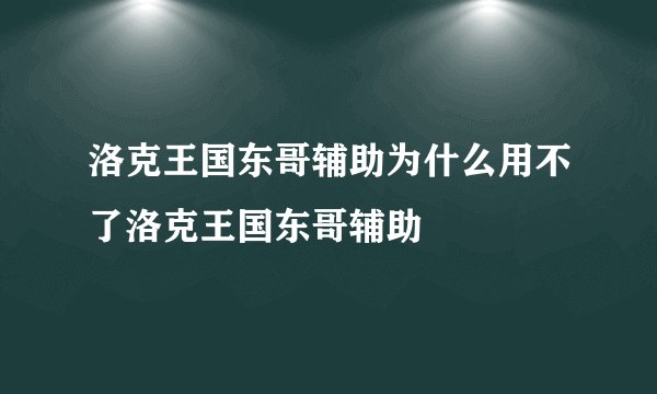 洛克王国东哥辅助为什么用不了洛克王国东哥辅助