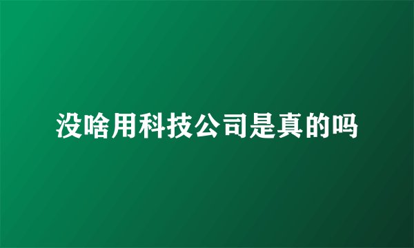 没啥用科技公司是真的吗