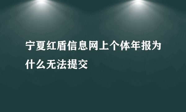 宁夏红盾信息网上个体年报为什么无法提交