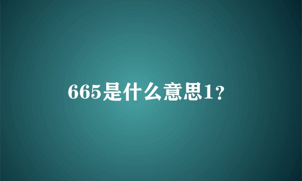 665是什么意思1？